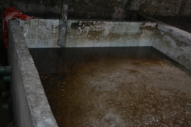 Bể chứa bột rong đã nghiền cáu bẩn, nước đen đặc, nổi váng bọt